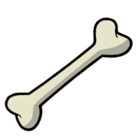 Wortkarte