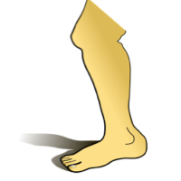 Wortkarte